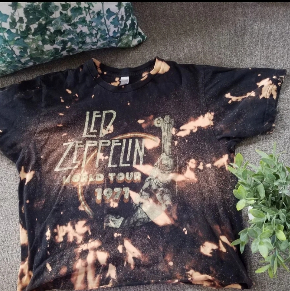 Led Zepplin crop